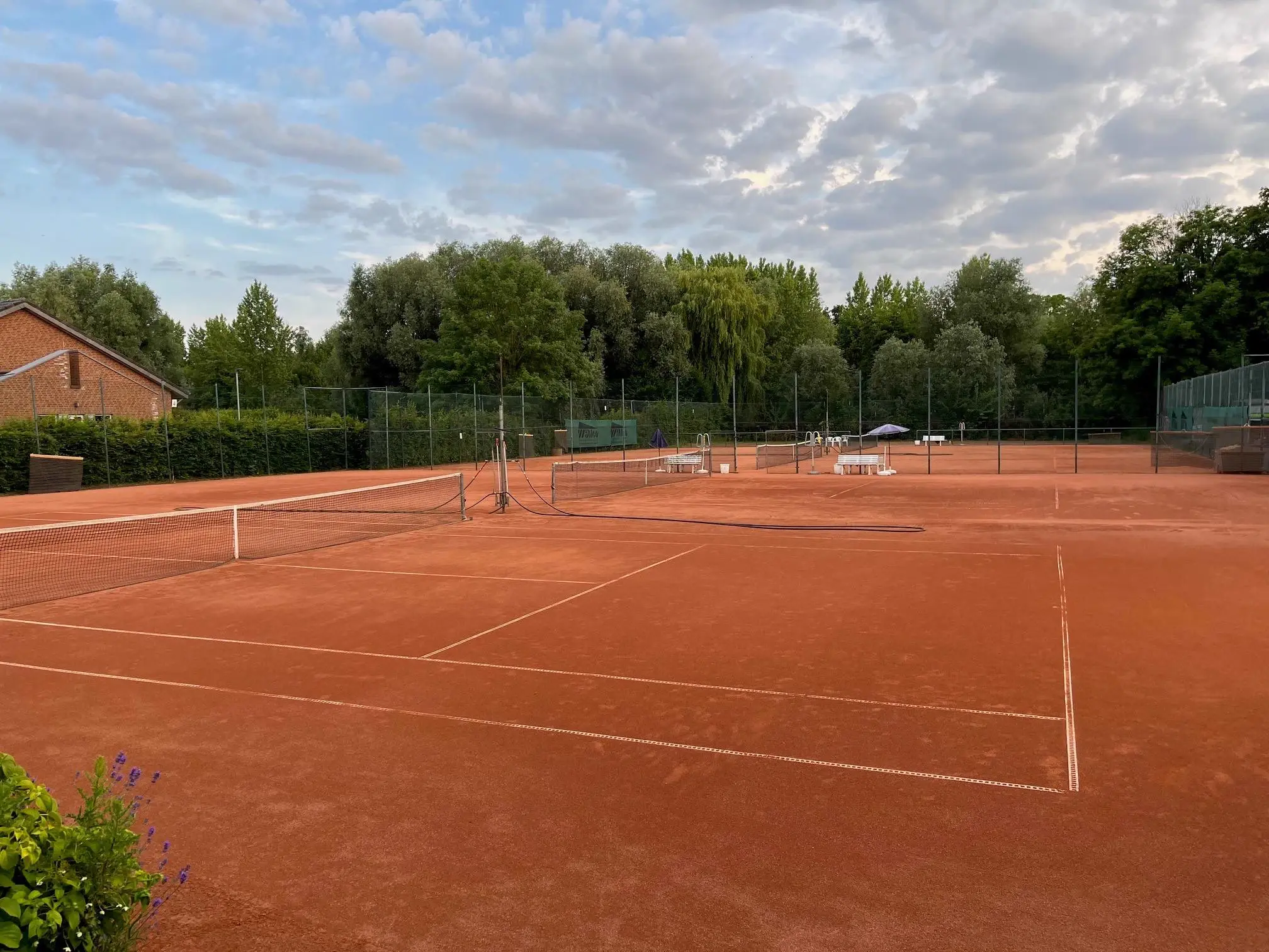 Aktuelle Neuigkeiten und Highlights vom TC Blau-Weiß Issum